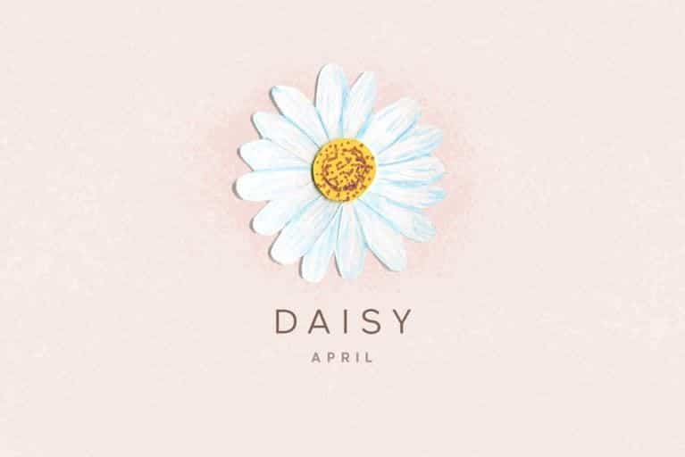 April Birth Flower - Daisy