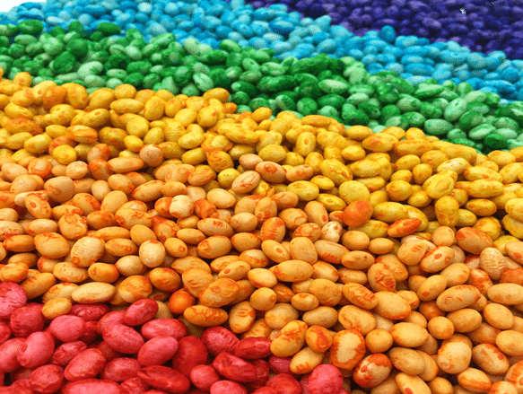 Assorted Loose Beans Sensory Bin