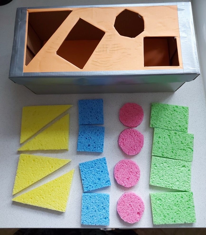 Colors and Shape Memory Tray