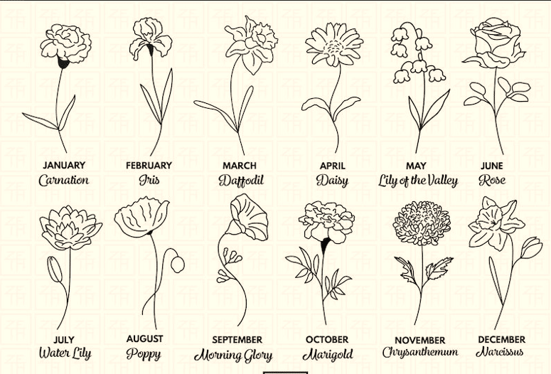 History of Birth Flower