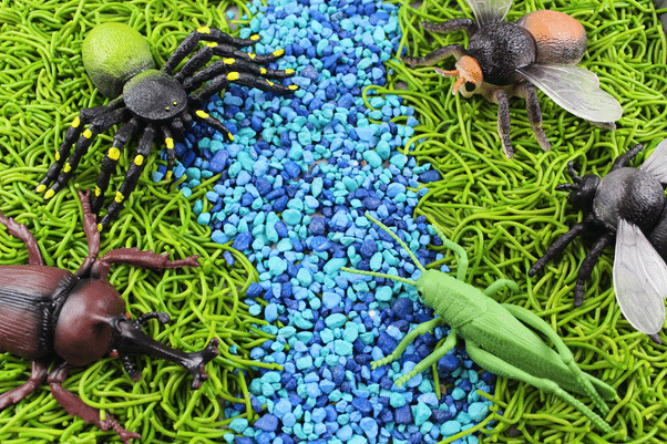 Insect Sensory Bin