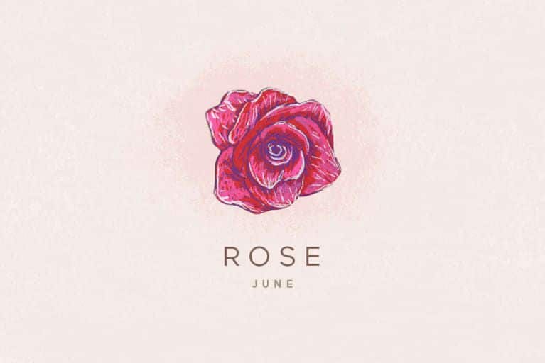 June Birth Flower - Rose