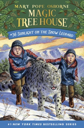 Magic Tree House Series by Mary Pope Osborne