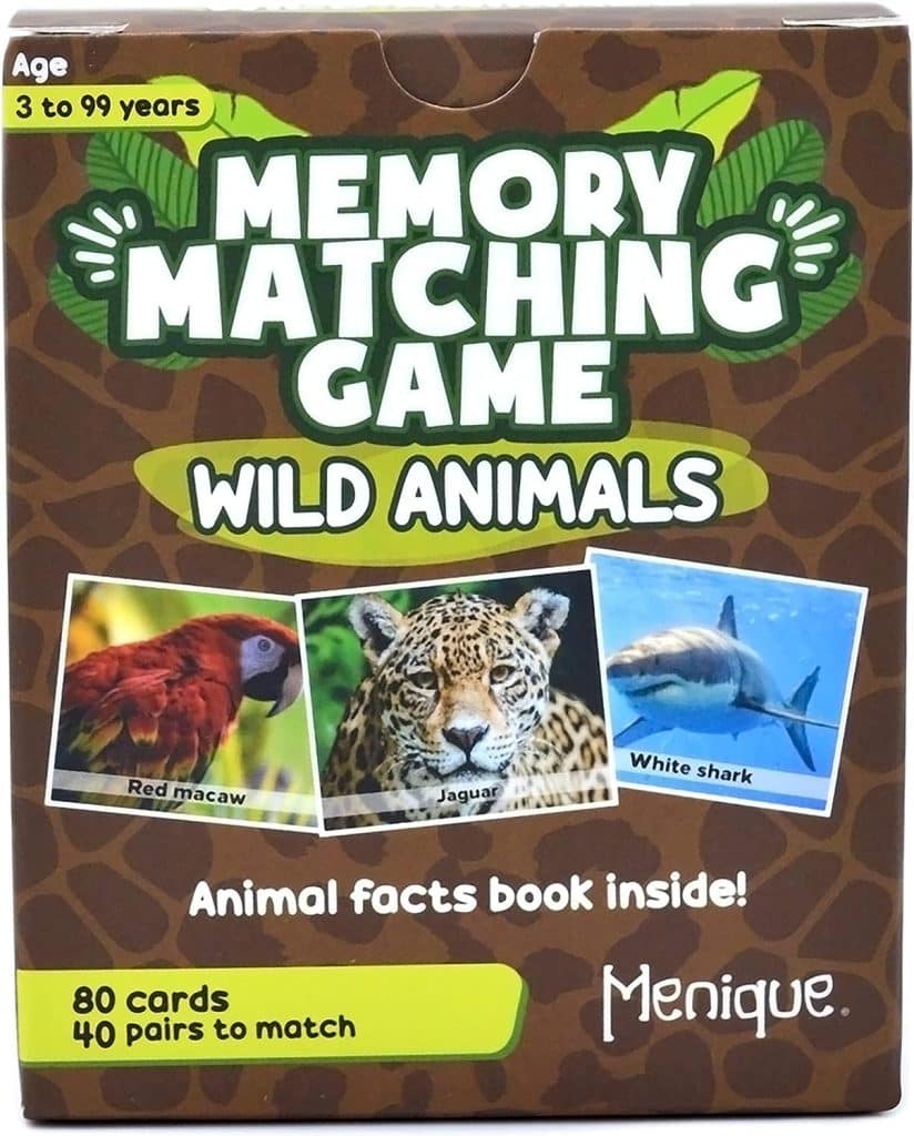 Memory Match Card Game