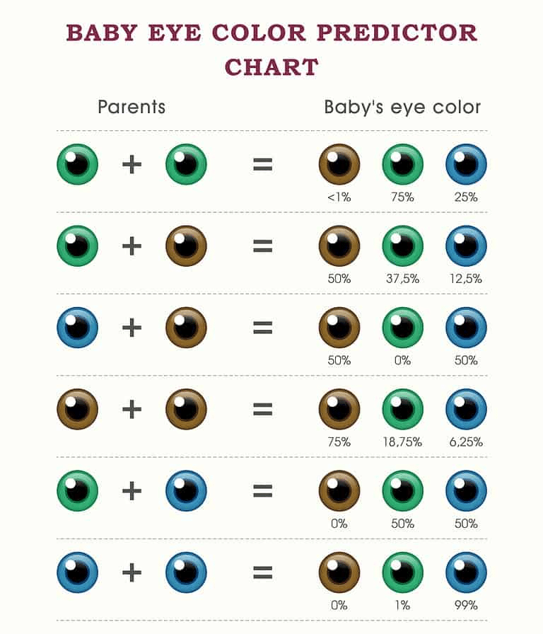 baby eye colour predictor chart