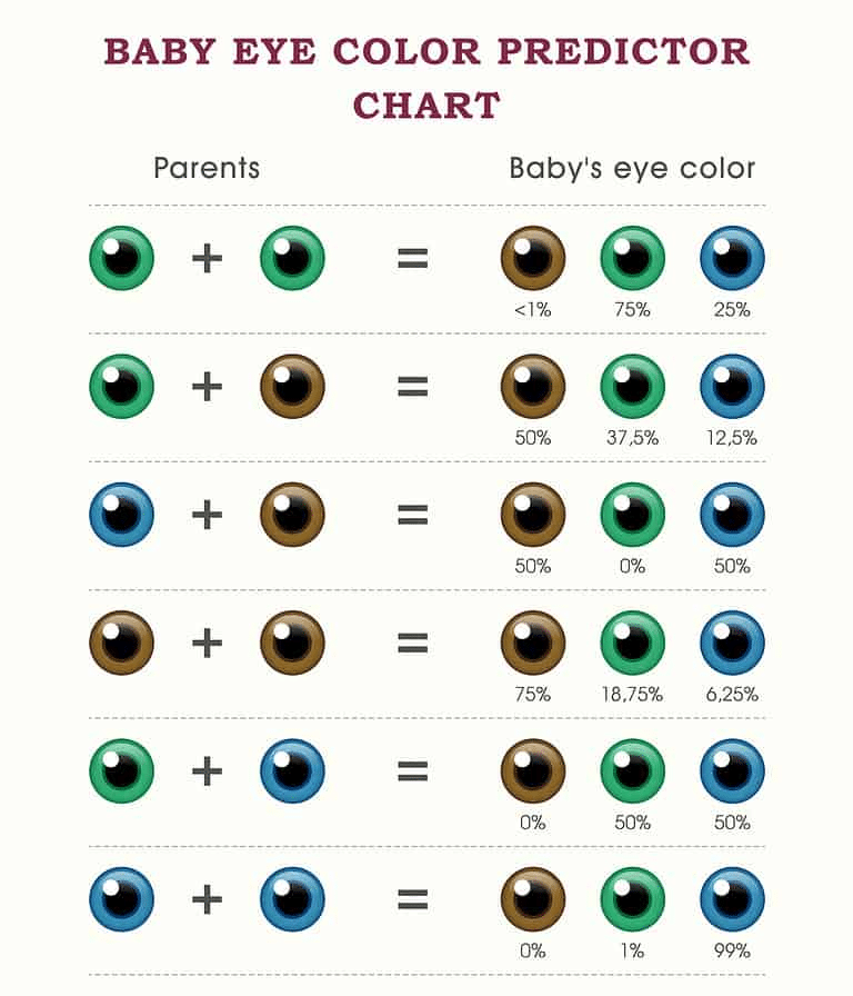 eye color prediction chart to know your babys eye color