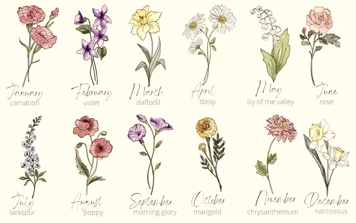 Free Birth Flower Chart, With Meanings