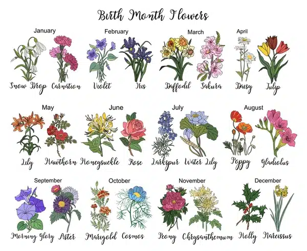Birth Flowers Significance and Purpose.jpg