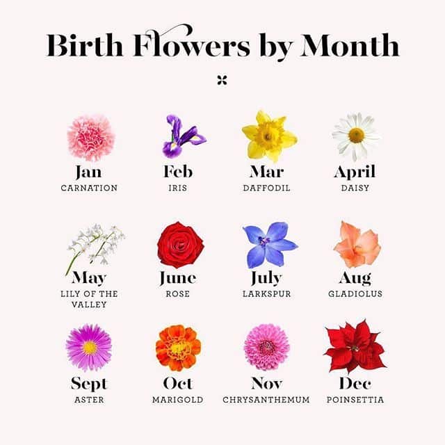 Birth flowers by month