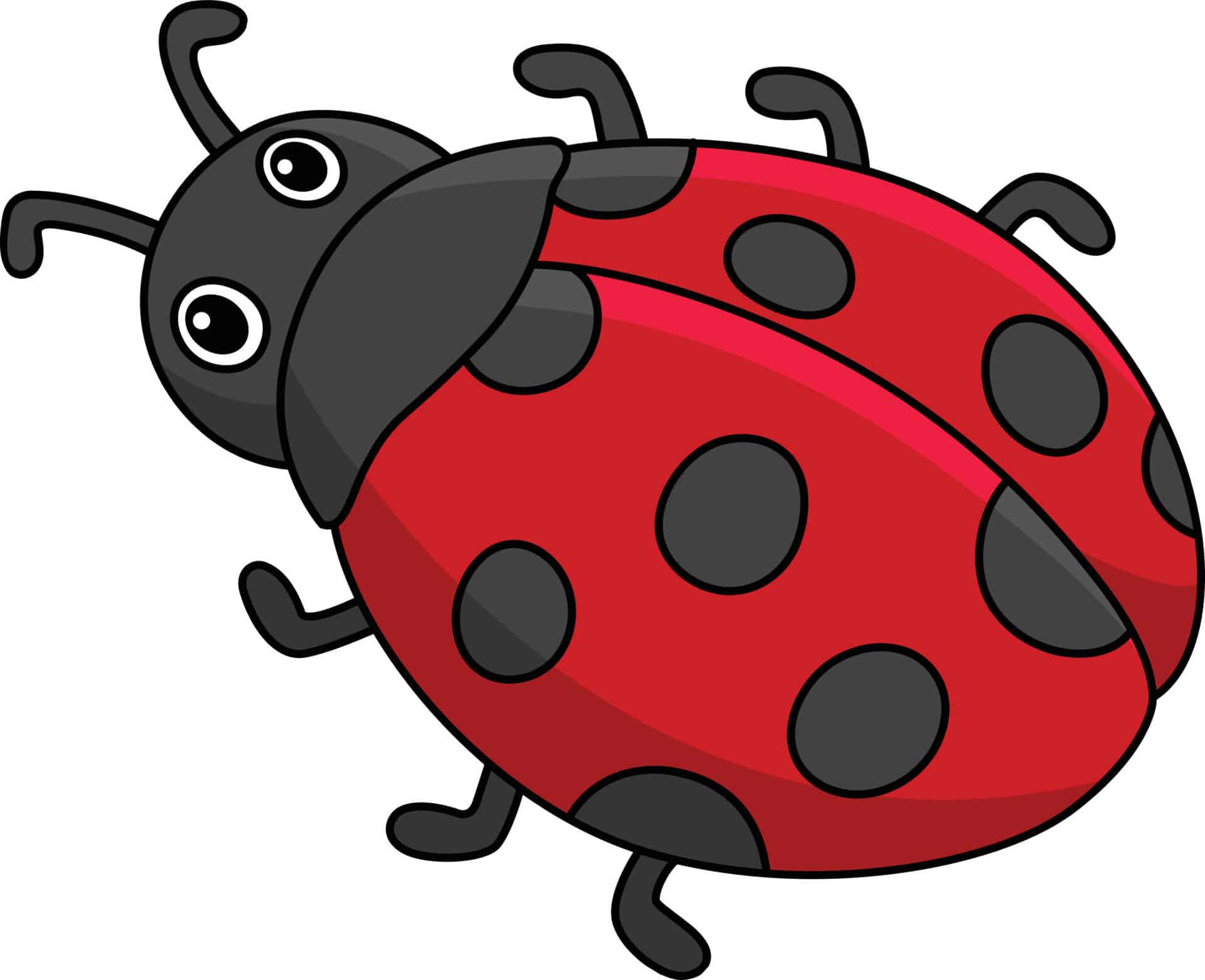 A ladybug with a vibrant red body and black spots on its wings, joyfully laughing with a sense of humor