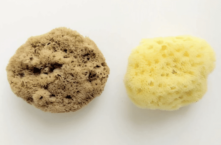 Which Sponges Are Best for Sponge Painting?
