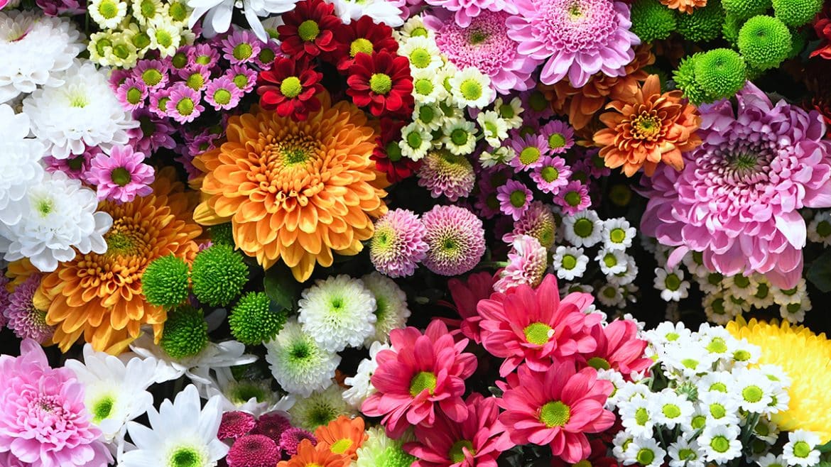 What's the Historical Significance of Birth Flowers?