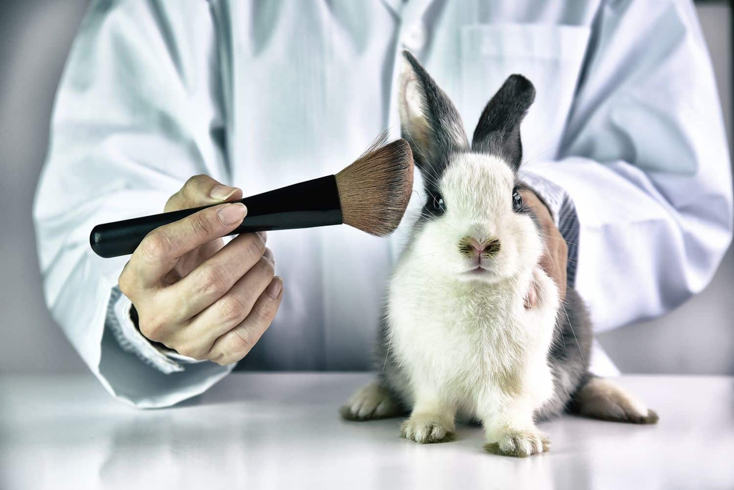 Why Do Companies Use Animal Testing?