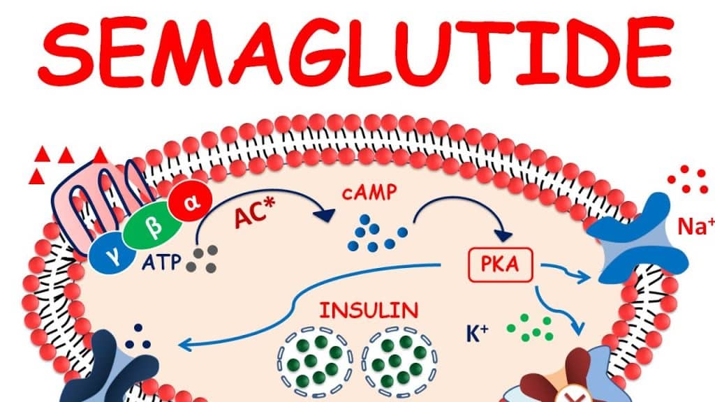 Understanding Semaglutide: Its Mechanism Of Action And Dosage ...