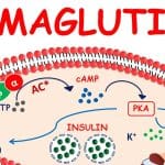 Understanding Semaglutide: Its Mechanism of Action and Dosage