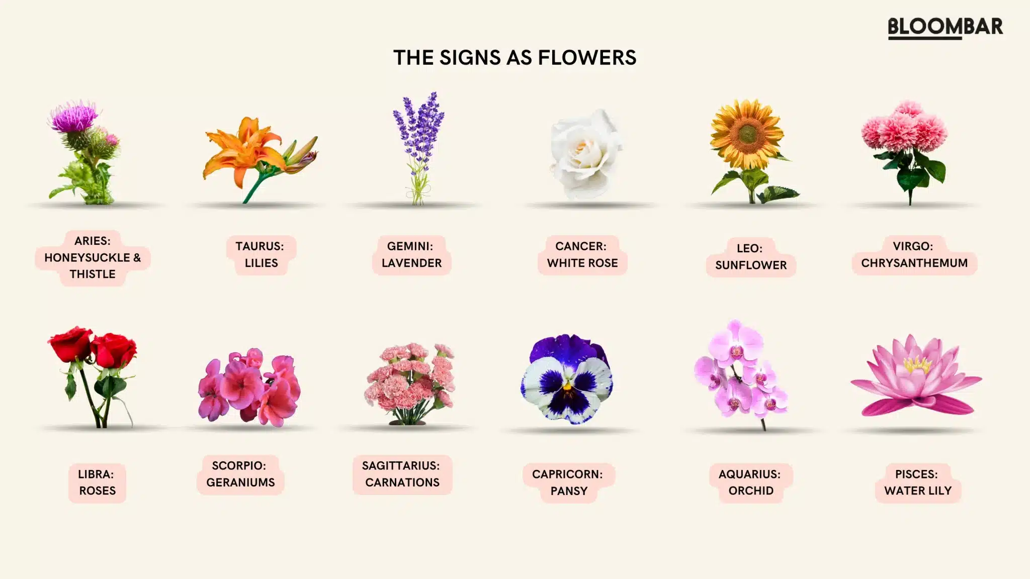 Do Birth Flowers Reflect Personality Traits? - illustrated Tea Cup