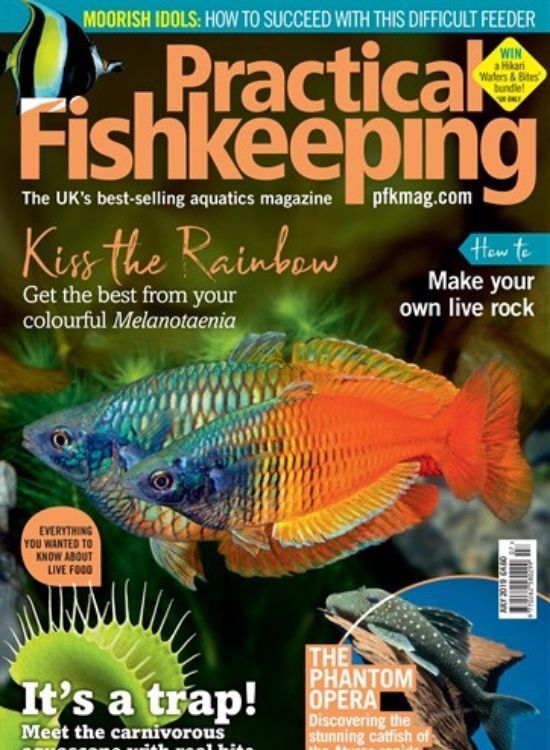a magazine cover with a fish on front cover
