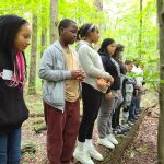 A group of children observing a log in the woods during a field day activity, with proper safety measures and supervision in place.