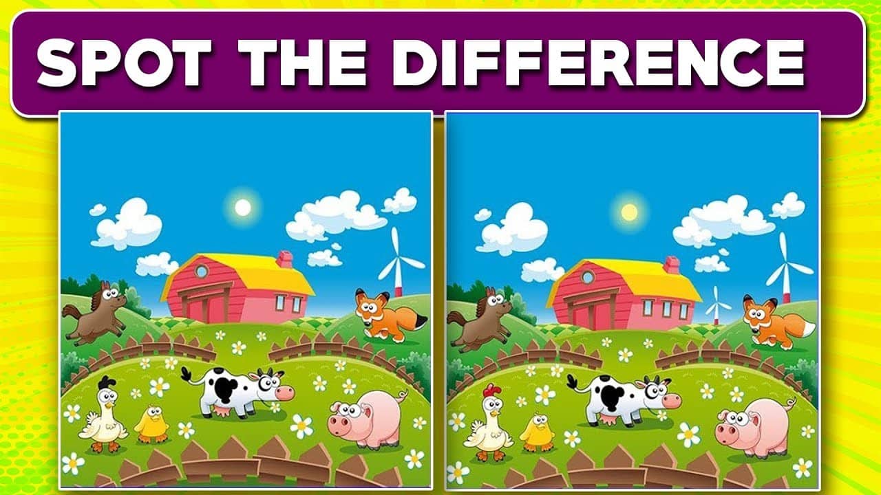 Spot the Difference Puzzle