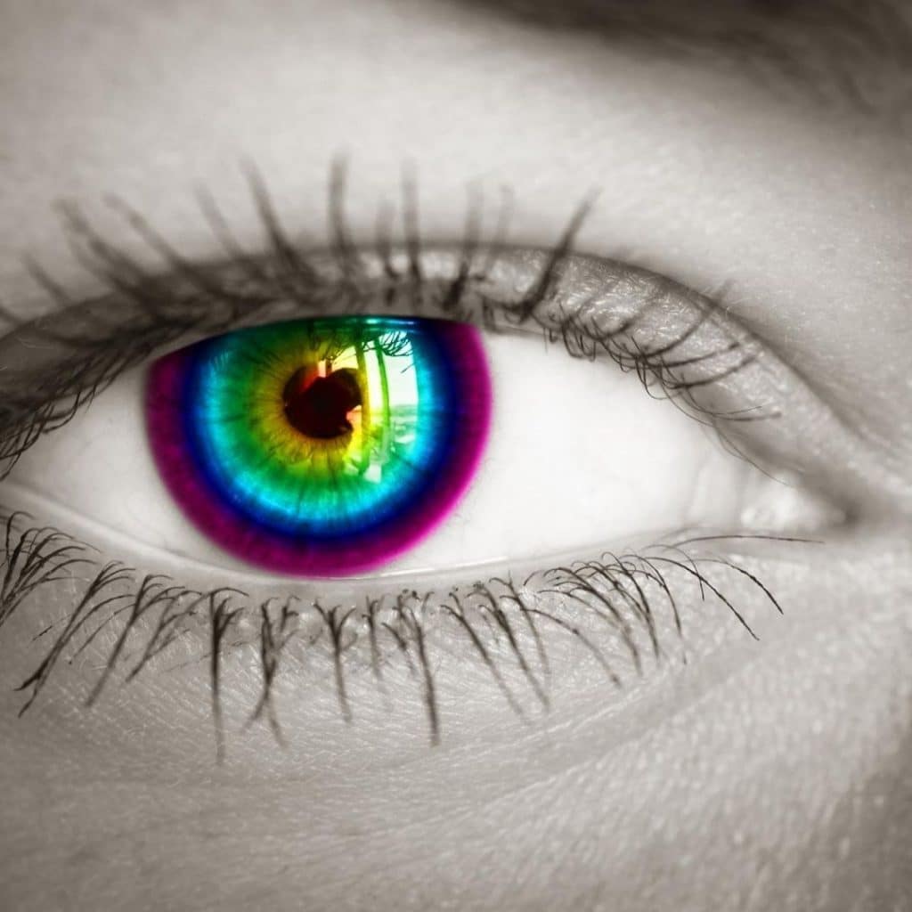 Understanding the Basics of Eye Color