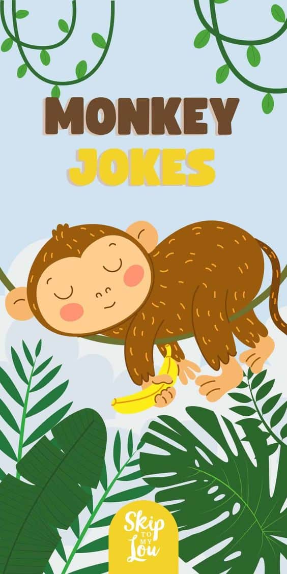 a monkey sleeping on a tree vine