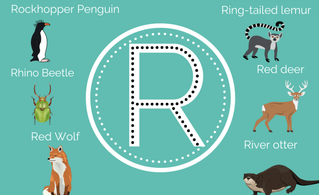 20 Animal Name That Starts with R - illustrated Tea Cup