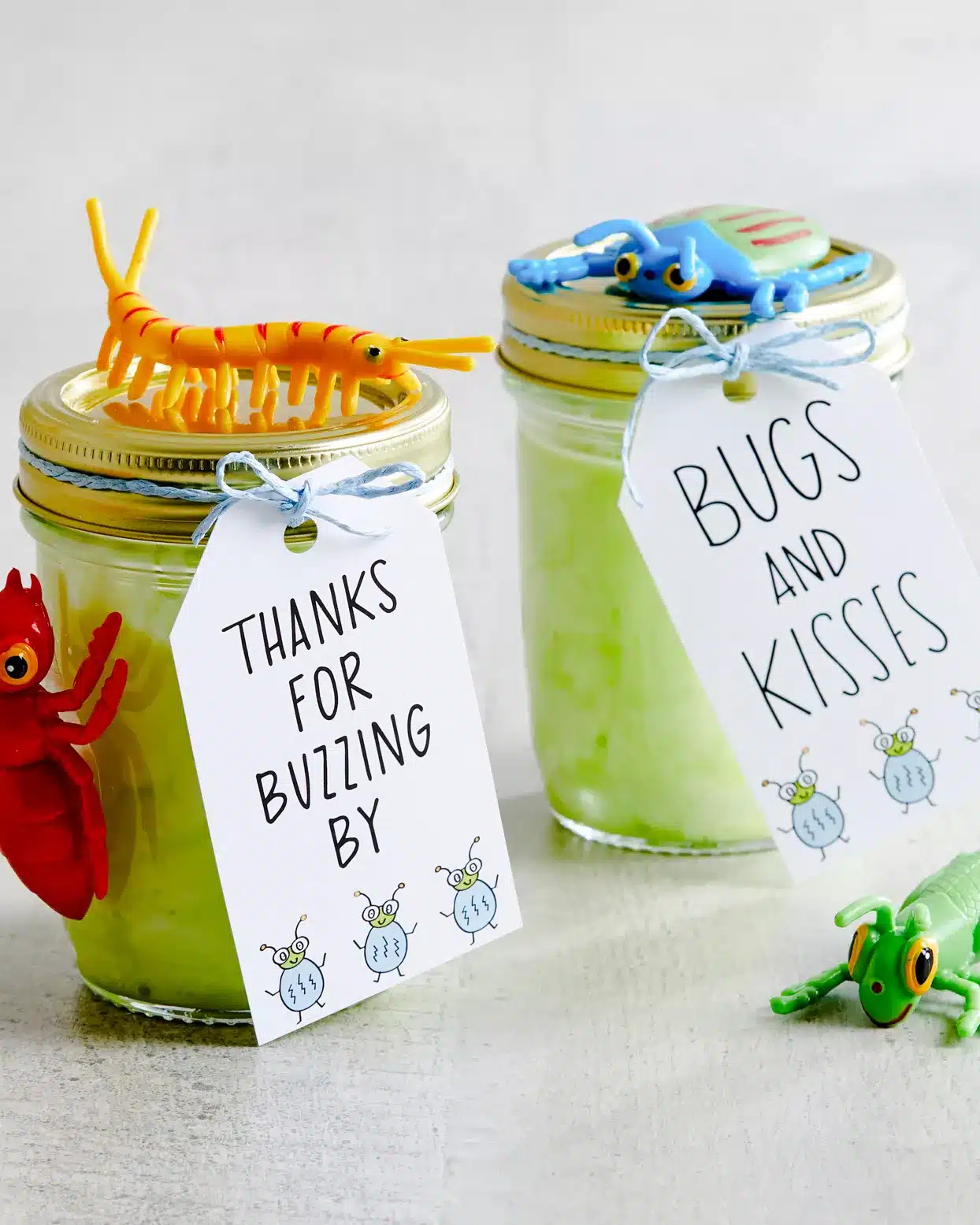 bug-themed-party-favor-tags-