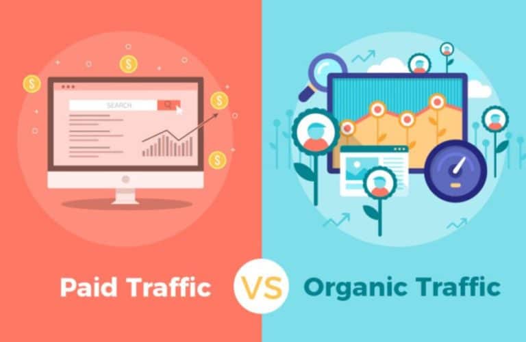 Comparative Analysis of Organic vs. Paid Search Effectiveness