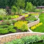 Enhance Your Outdoor Space with Top Tools and Tips for Landscape Design