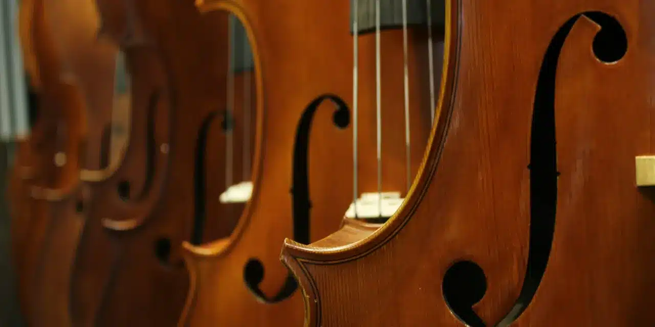 Samuel Shen’s Double Bass' Commitment to Student Players
