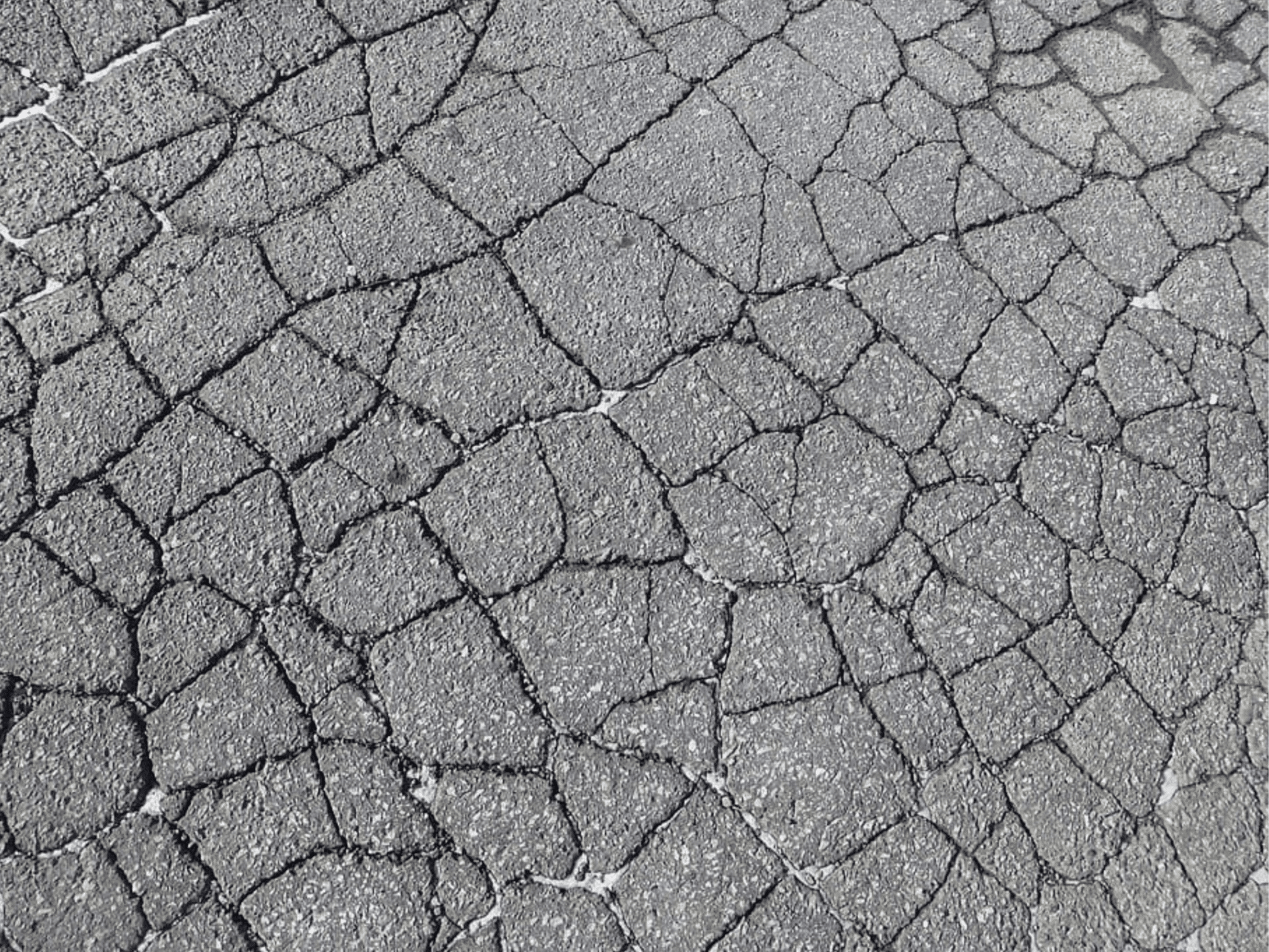 The Enemy at Your Feet: Common Types of Pavement Damage