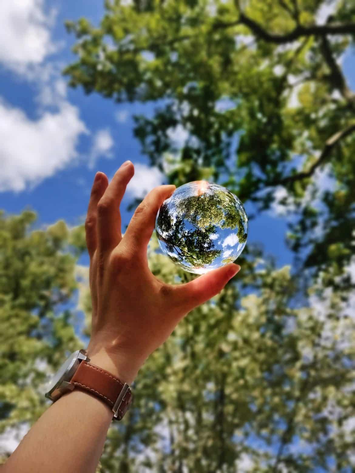 Looking Towards a Greener Future