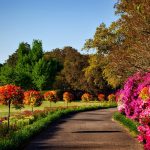 Commercial Landscaping Trends: What’s Popular and What to Expect