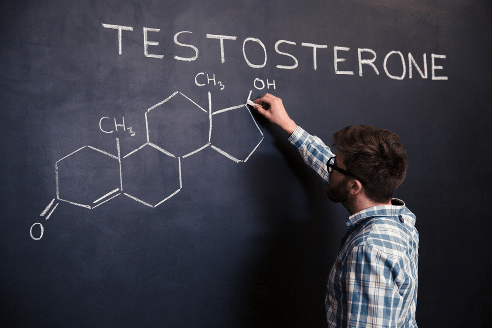 Testosterone and Its Role in Aging