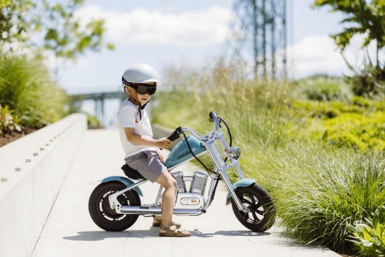 Your Kids Will Definitely Like the Hyper Gogo Chopper Bike