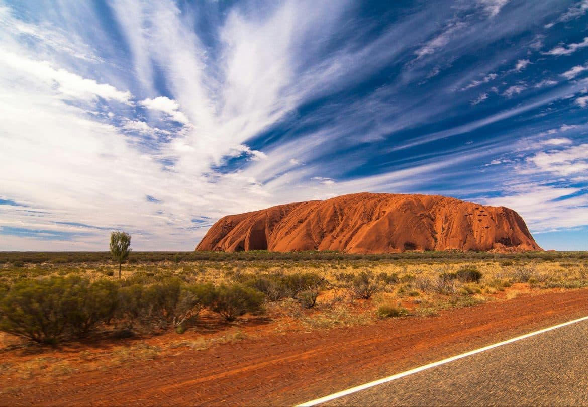 Unforgettable Safari Through Australian Wildlife