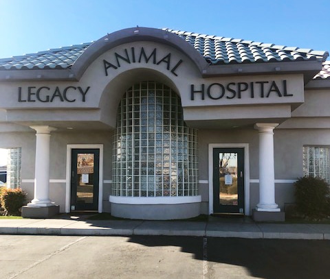 Legacy Veterinary Hospital