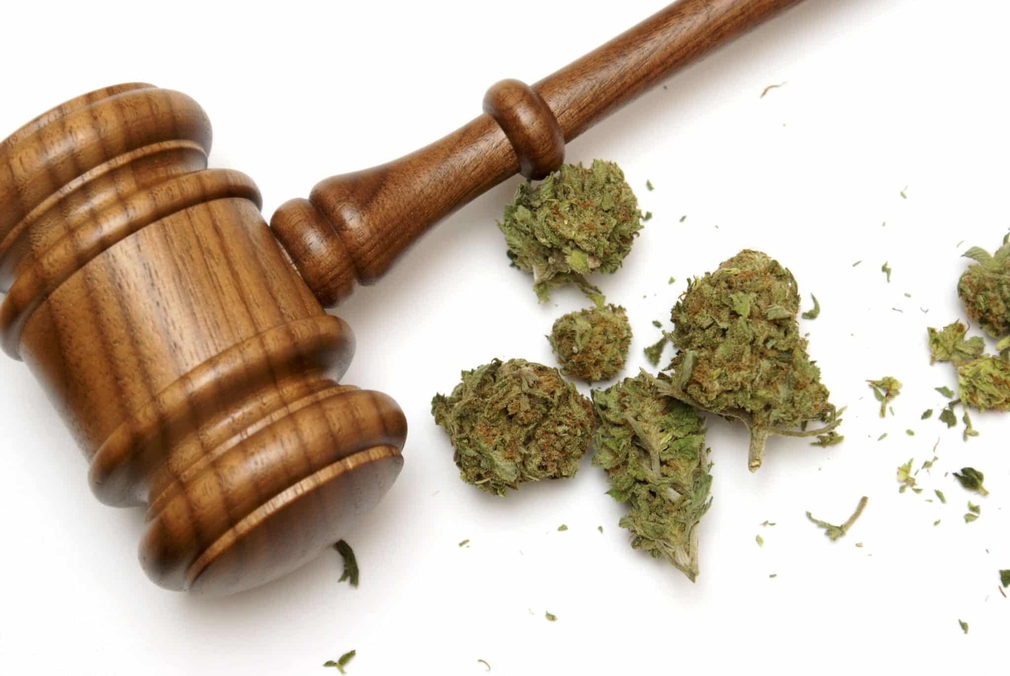 Understanding Maryland's Cannabis Regulations