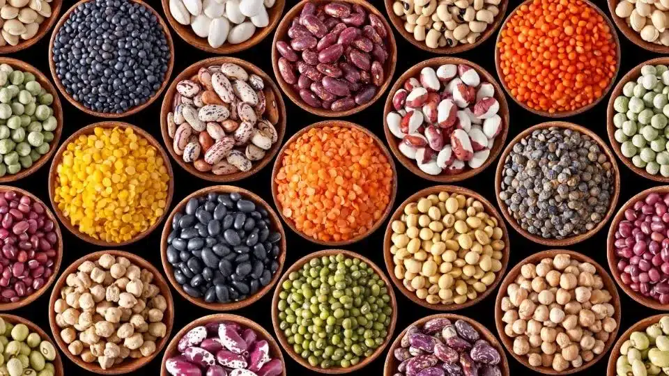 Legumes