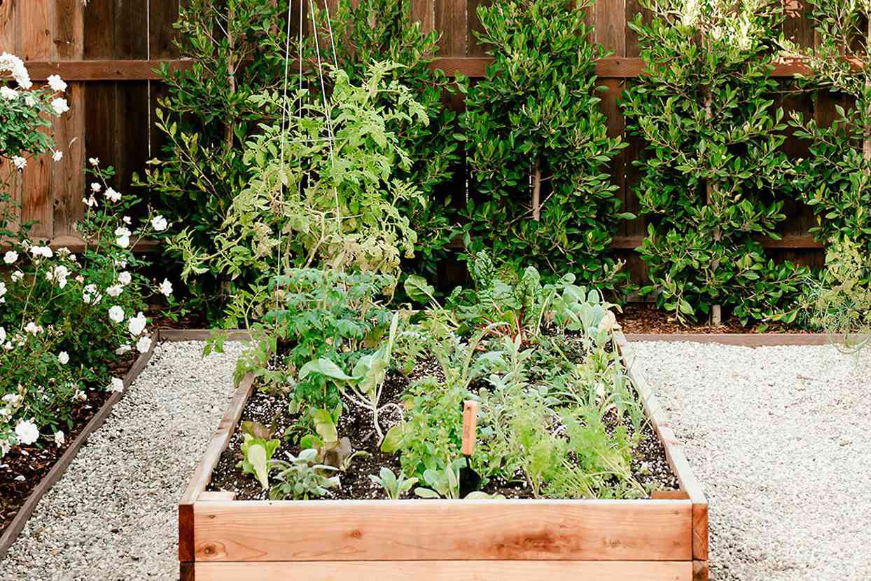 Preparing Your Garden Bed for Cooler Weather