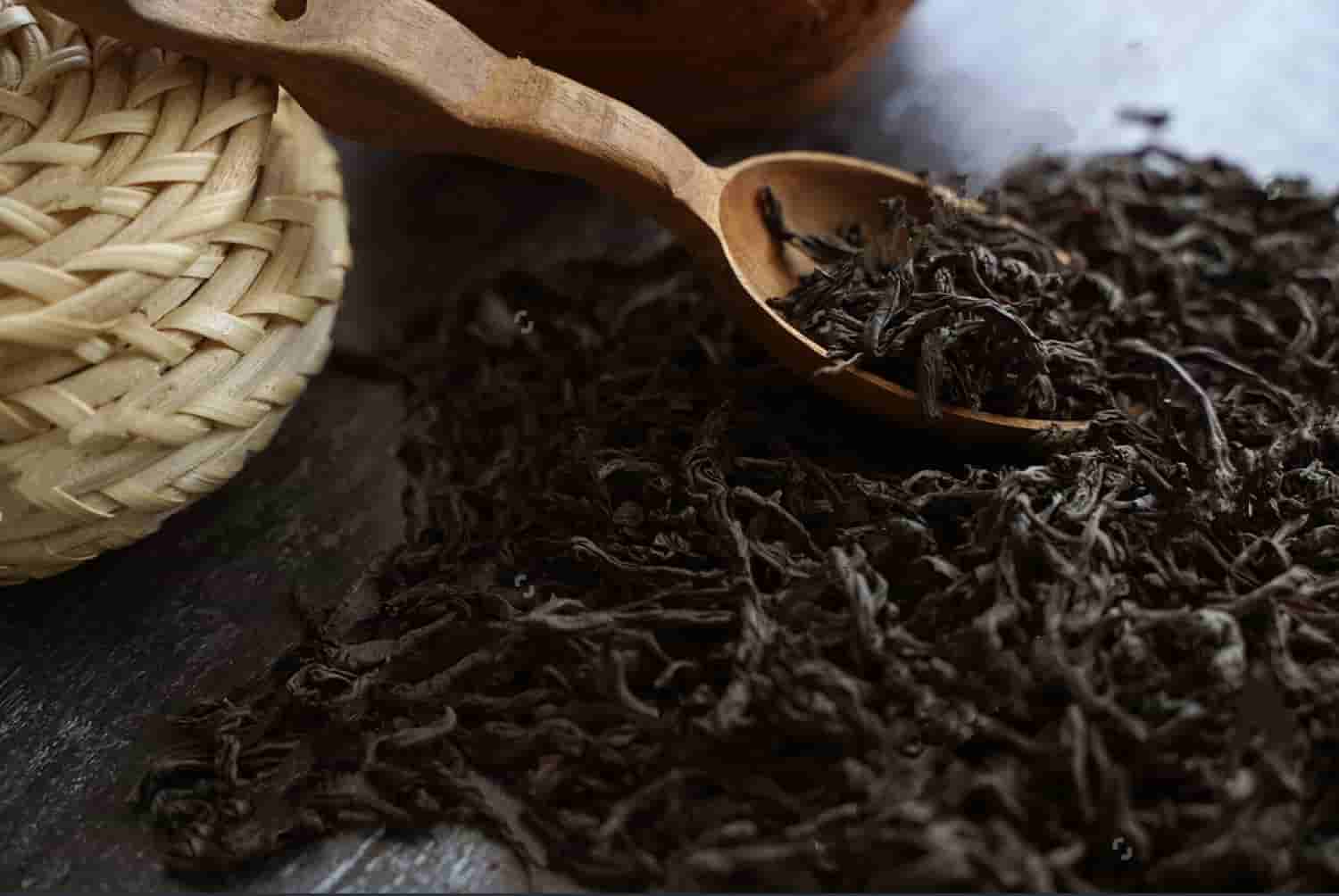 The Discovery of Tea in India