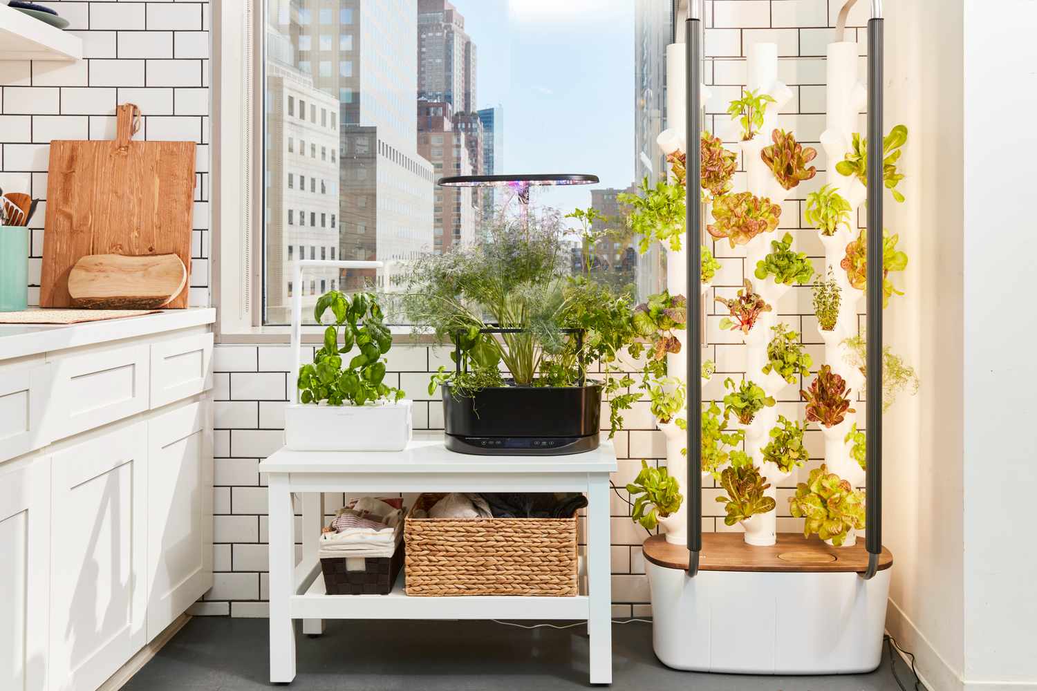 The Perfect Indoor Gardening System For You