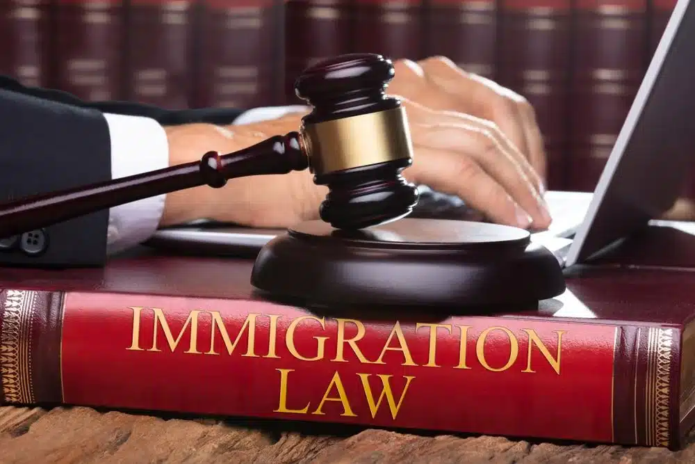 Expert Knowledge of Immigration Law