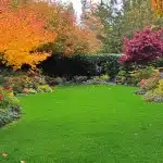 How to Prepare Your Lawn and Garden For Winter