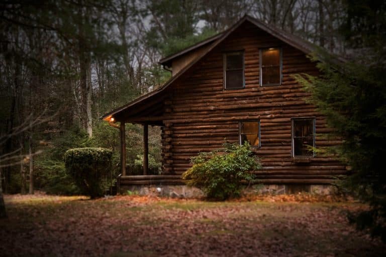 Log Cabin Buyers Guide