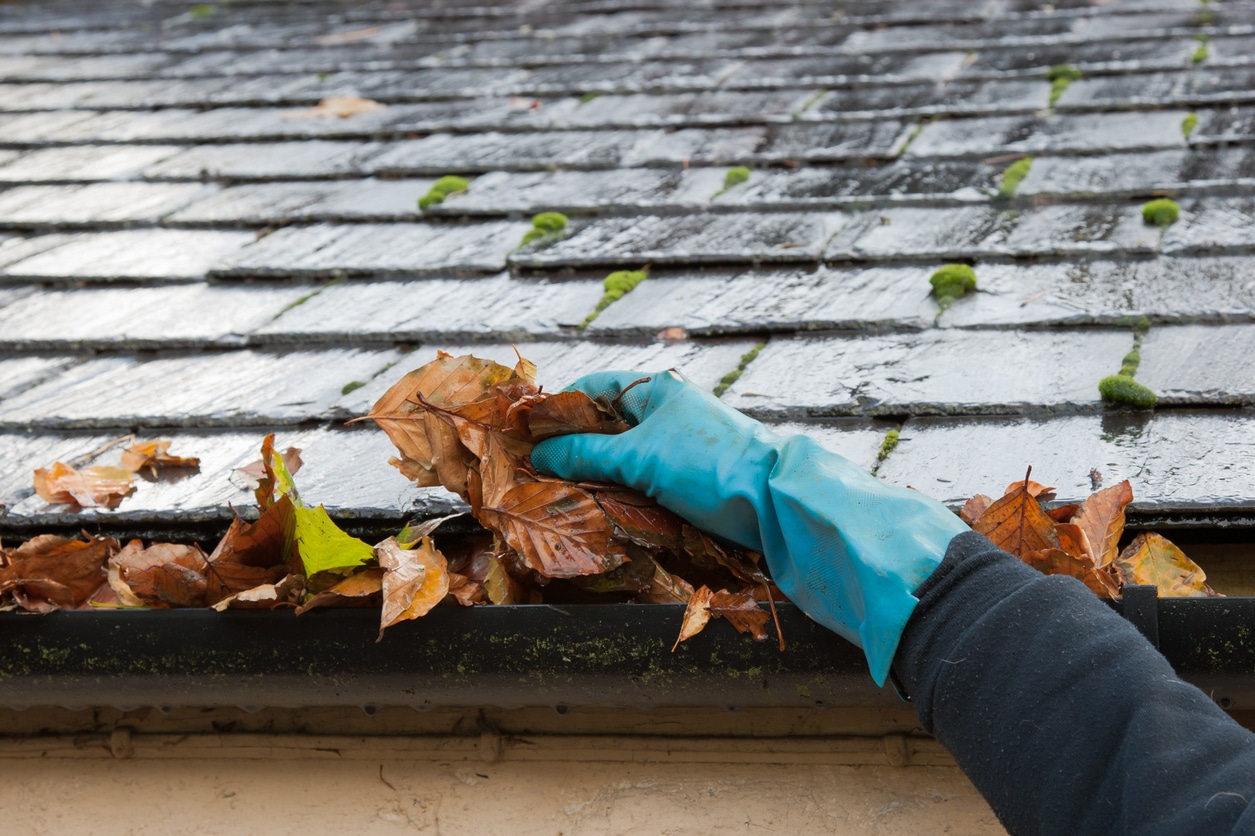 Clogged Gutters: A Flood in the Making