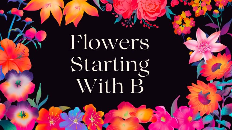 flowers that start with b