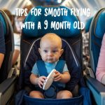 flying with a 9 month old