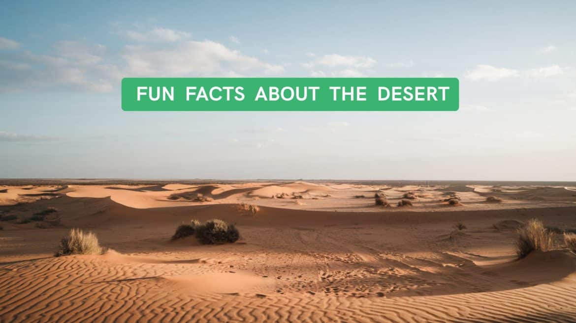 fun facts about the desert
