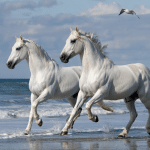 210 Names for White Horses You'll Love